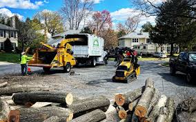 Best Tree Health Inspection  in Liberty, NC